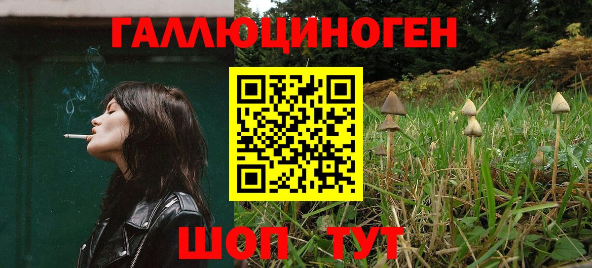 Мытищи  Псилоцибиновые грибы Psilocybine cubensis  Вход с VPN 